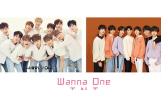 Apa yang terjadi ketika grup idola domestik bertemu dengan Kpop? Tes Kecocokan 2.0: Era Remaja vs Wa