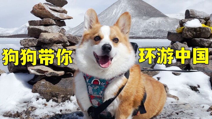 Corgi: Dulu aku bermimpi memegang pedang menjelajahi dunia—mari aku tunjukkan dunia pada kalian!