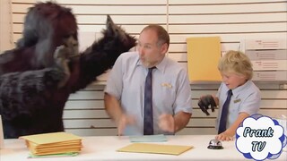 Con khỉ đột nhỏ không sợ thê con to này đủ sợ chưa?