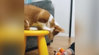 รวมความมึนและความน่ารัก