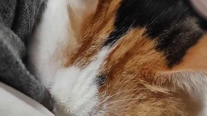 It just plopped right into my arms, all fresh and juicy.