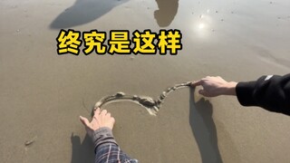 如果不能心里有灵犀，那就做个同病相怜吧。。。