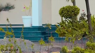 #pehli baarish main