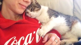 Have the love of a cat is to have the world - Cute Moments Cat And Their Owner