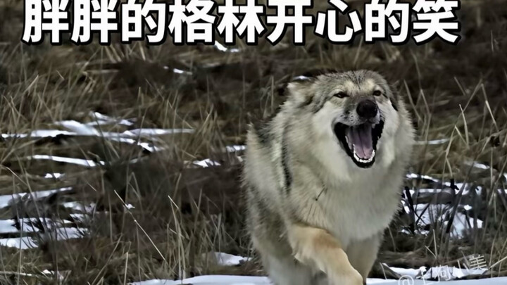 Maybe Green’s “woof woof” was his way of saying he wanted to stay by his mom’s side forever.