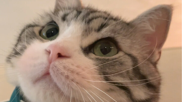 Ketika pacarmu membuatmu kesal, lalu menggandeng tanganmu sambil berkata akan membawamu makan enak