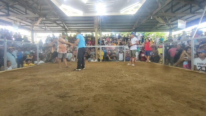 poyloyTari tutorial #3 win