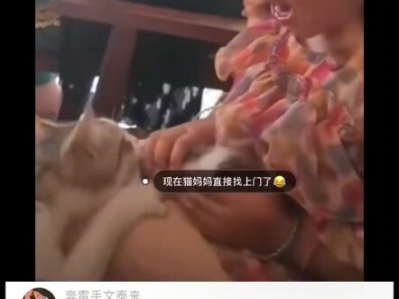 猫：你还叫上妈妈了
