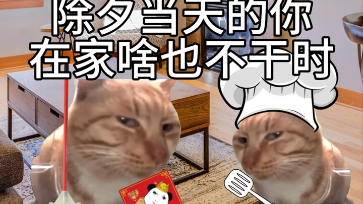 除夕当天的你在家啥也不干时