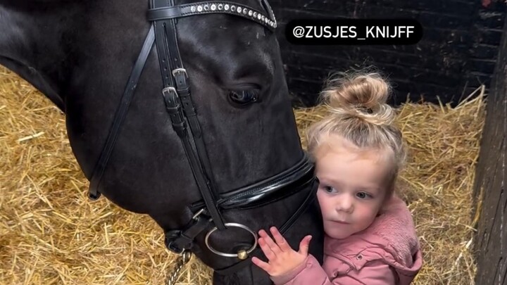 The Gentle Giant… A Little Girl and Her Horse Friend