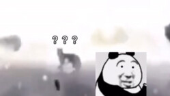 Doggy: I’m just passing by...