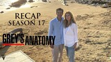 Grey's Anatomy | Season 17 Complete Recap