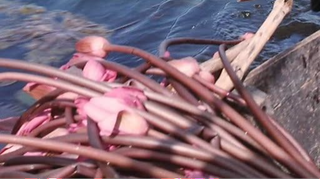 Neak Sre (1994)【EngSub】Khmer