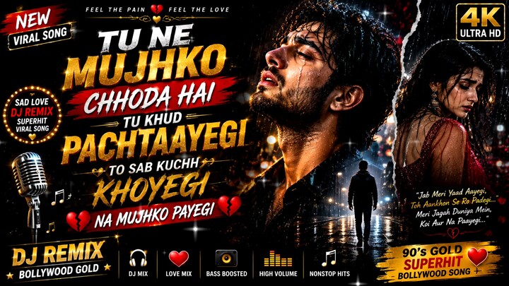 Tu Ne Mujhko Chhoda Hai, Tu Khud Pachtaayegi 💔 | Sad Love DJ Remix | Bollywood Gold 90's