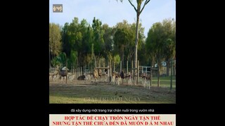 hợp tác để chạy trốn ngày tận thế, nhưng chưa đến tận thế đã muốn đấm nhau
