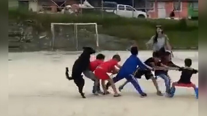 Oh no, today’s good deeds are gone again—laughed right out of existence!!! #72