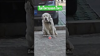 ไม่ไหวบอกไหว