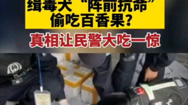 They actually hid drugs inside passion fruit.