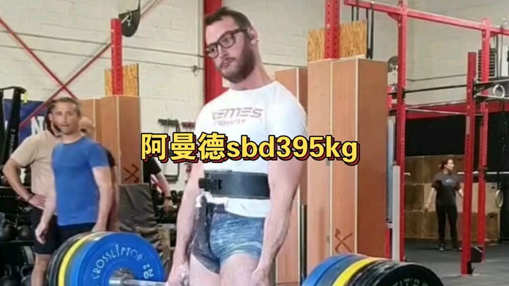 Armand SBd 395kg