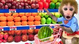 Monkey Baby Bon Bon goes to buy fruit at the supermarket and eat so yummy with puppy
