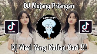 DJ MOJANG PRIANGAN VIRAL TIK TOK TERBARU 2023 YANG KALIAN CARI !