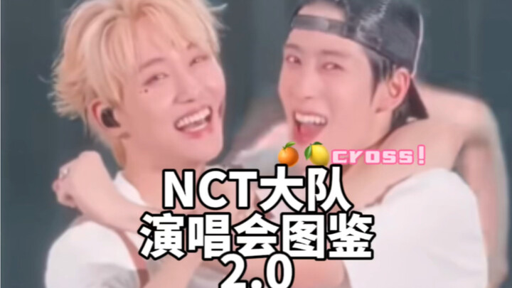 【NCT】Big Group Concert Photo Guide 2.0