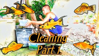 Part 1. (Cleaning the TANKS or TUBS) ★Mollies★