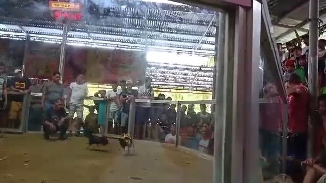 win @ mahogany cockpit