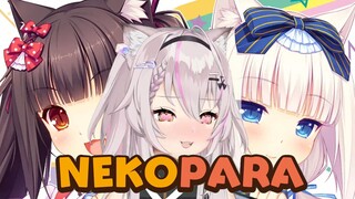 【Hiiro】主播不是你们的Nekopara2！