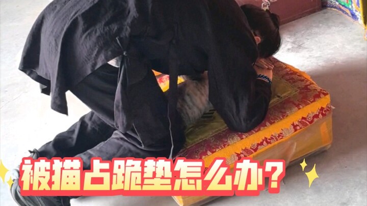 What if a cat claims the kneeling pad?