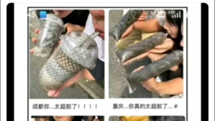 Những thứ này ăn được không?