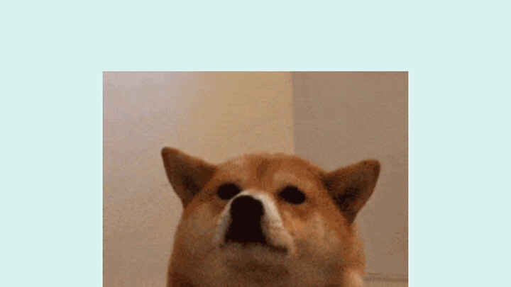 ههههههه، هذه الحبكة تجعلني أضحك بشدة لدرجة أن صوتي يشبه صوت الخنزير! ههههه