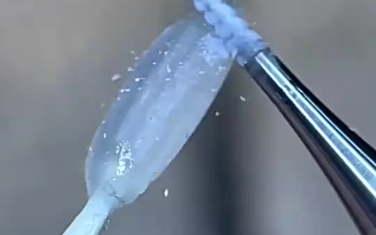 世界上最小的哥斯拉，太秀了，建议在哥斯拉身上纹个精忠报国吧