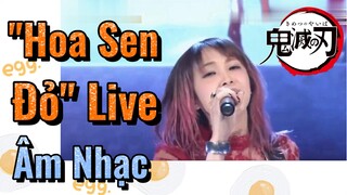 [Thanh Gươm Diệt Quỷ] Âm Nhạc | "Hoa Sen Đỏ" Live