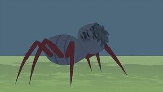 A love-struck red-legged spider?!