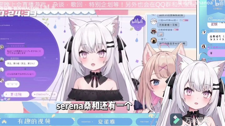 忘记卷卷名字被抓包的夏小姐【夏诺雅】