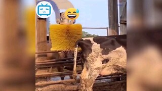 các chúa hề ngoài đời thật #funny