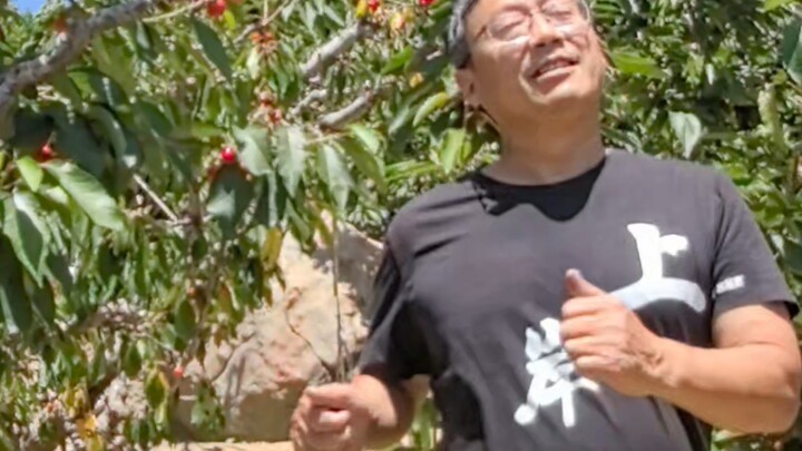 Who understands the joy of dancing in a cherry orchard? The vibe is absolutely amazing!