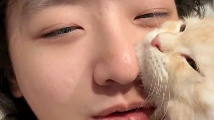 "On Maine Coons Hugging People While They Sleep"