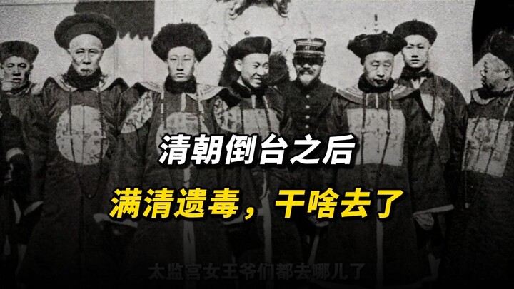What have the late Qing loyalists and their descendants been up to?