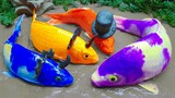Monster ikan Lele besar, ikan Koi warna-warni Stop Motion ASMR topi ajaib