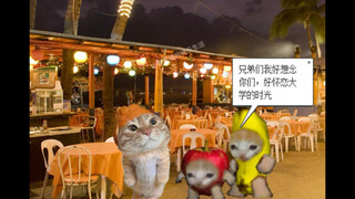 How is Banana Cat doing after graduation?