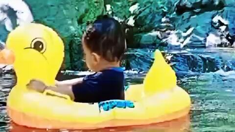 litle duck