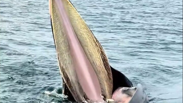 เจอแบบนี้ต้องหนีไหม?