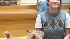 The puppy suddenly realized that he had to sit back in his seat and listen to the class after class~