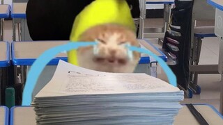 Banana Cat and his classmates' status the day before the holiday