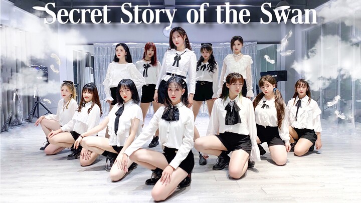 [Nai Lu Girls · 4ºPolarlight] Fantasy Fairy Tale ❉Secret Story of the Swan❉ Always by Your Side❉ Dre