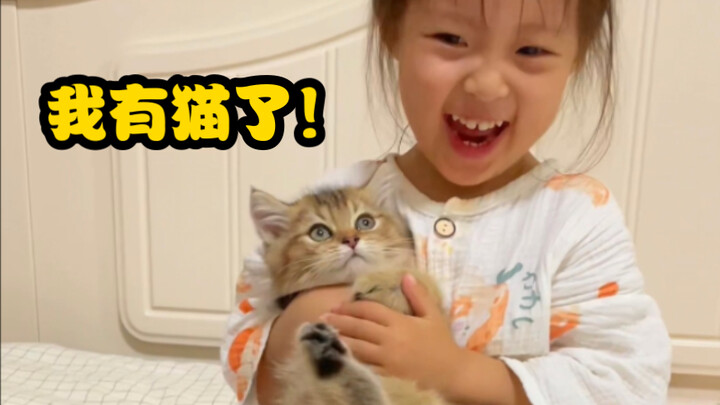 Little sister: Big cat sister looks down on me, but little cat brother dotes on me!