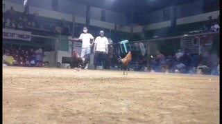 Machine kelso in action #3