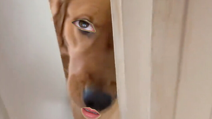 Just a glance—figure it out for yourself.